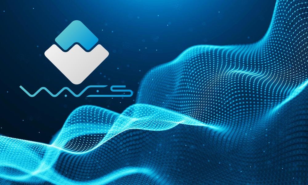 Waves enterprise проекты